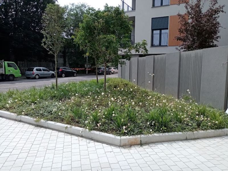 MANUTENZIONE VERDE CONDOMINIALE