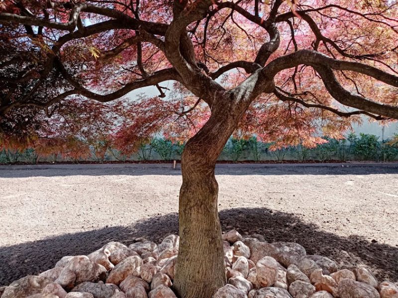 POSA PRATO A ROTOLI 3