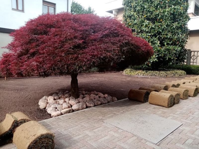 POSA PRATO A ROTOLI 4