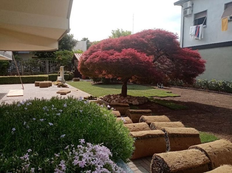 POSA PRATO A ROTOLI 5