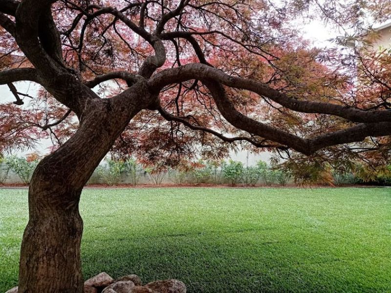 POSA PRATO A ROTOLI 7